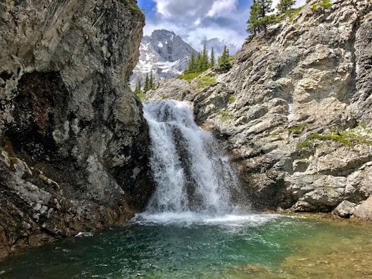 waterfalls during daytime in Elbow Lake Canada