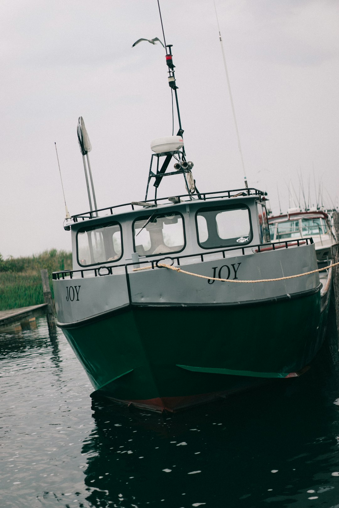 white and green boat