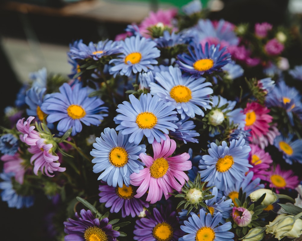 selective focus photography of flowers