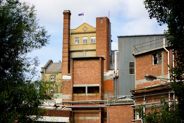 A large industrial building with brick walls and multiple levels, featuring a tall chimney and a flagpole with a flag atop one section. The structure includes different roofing materials and scattered windows. The scene is framed by trees on both sides, adding a touch of greenery to the urban landscape.
