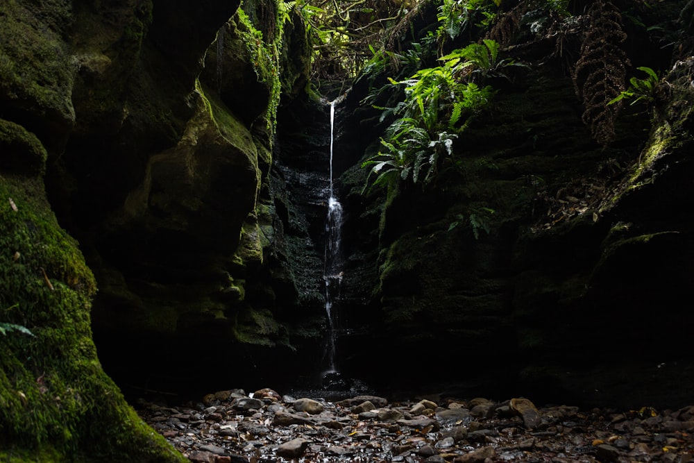 Wasserfall umgeben von grünem Moos