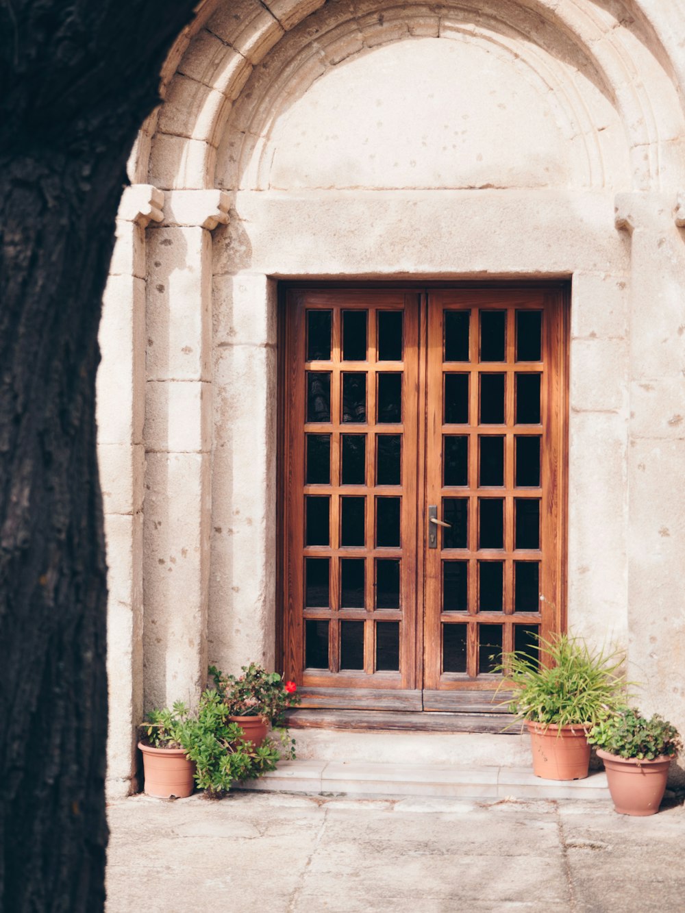 Porte en bois marron fermée avec des plantes en pot