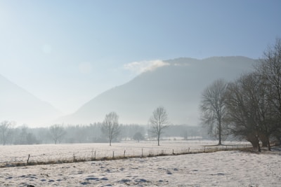 A serene winter field blanketed in soft snow under a pale morning sky.