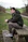 man sitting on brown wooden picnic bench during daytime