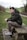 man sitting on brown wooden picnic bench during daytime