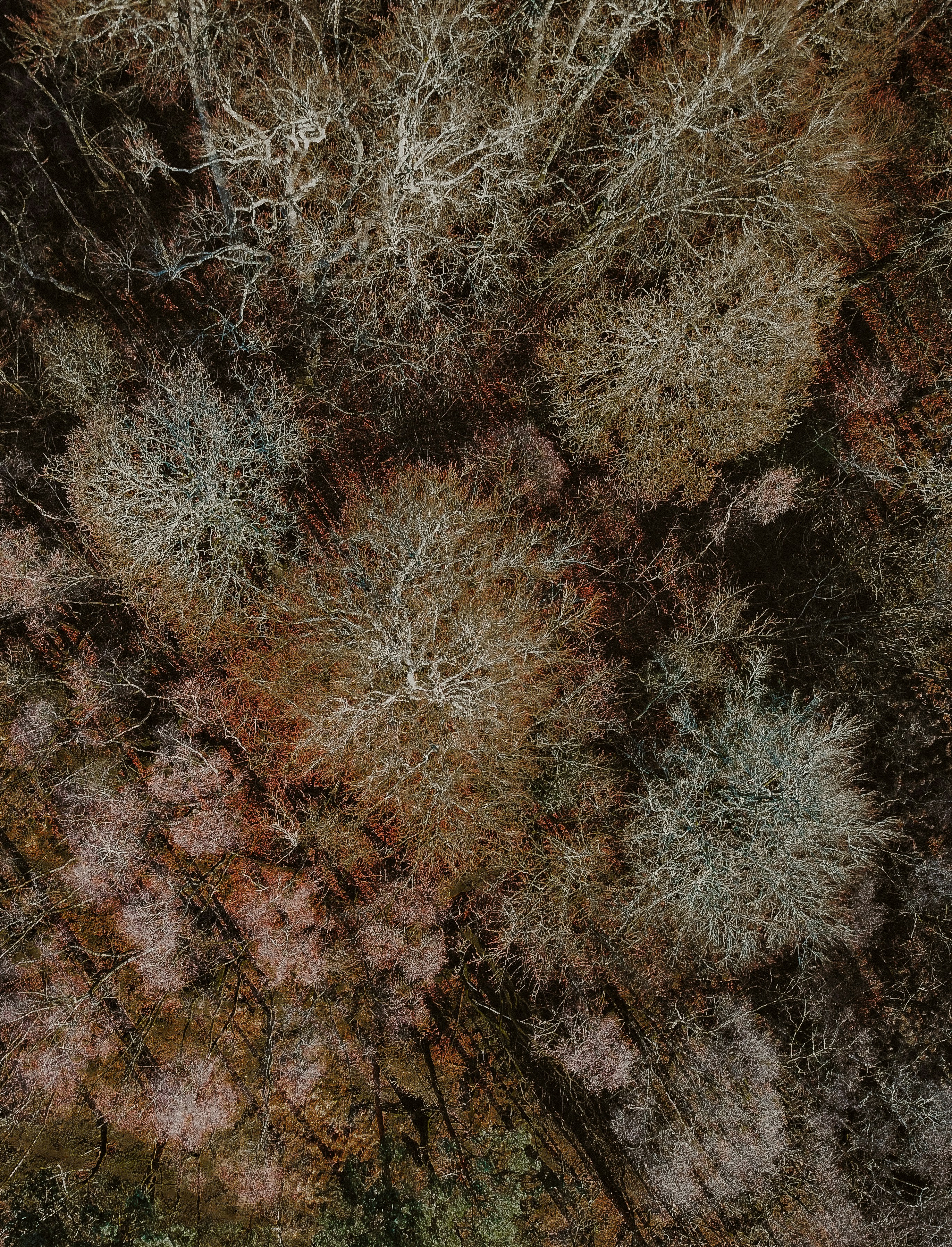 Photo by anniespratt