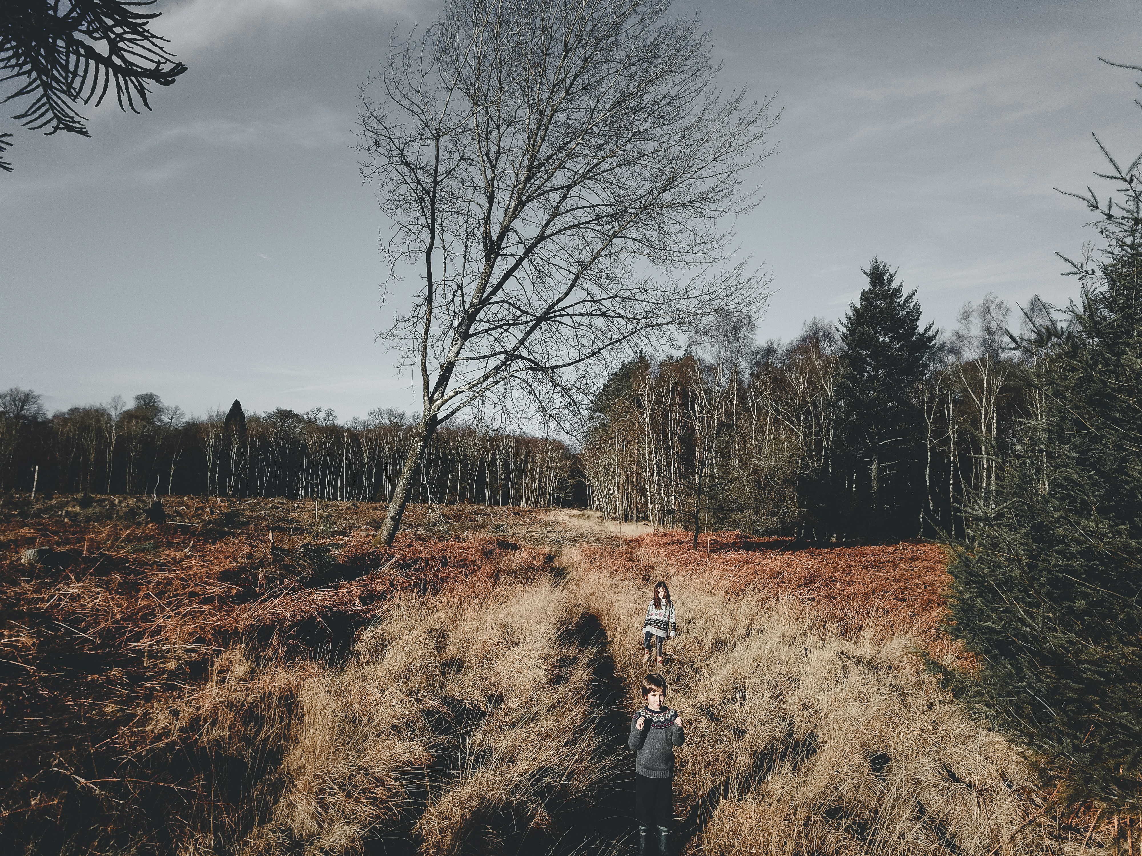 Photo by anniespratt