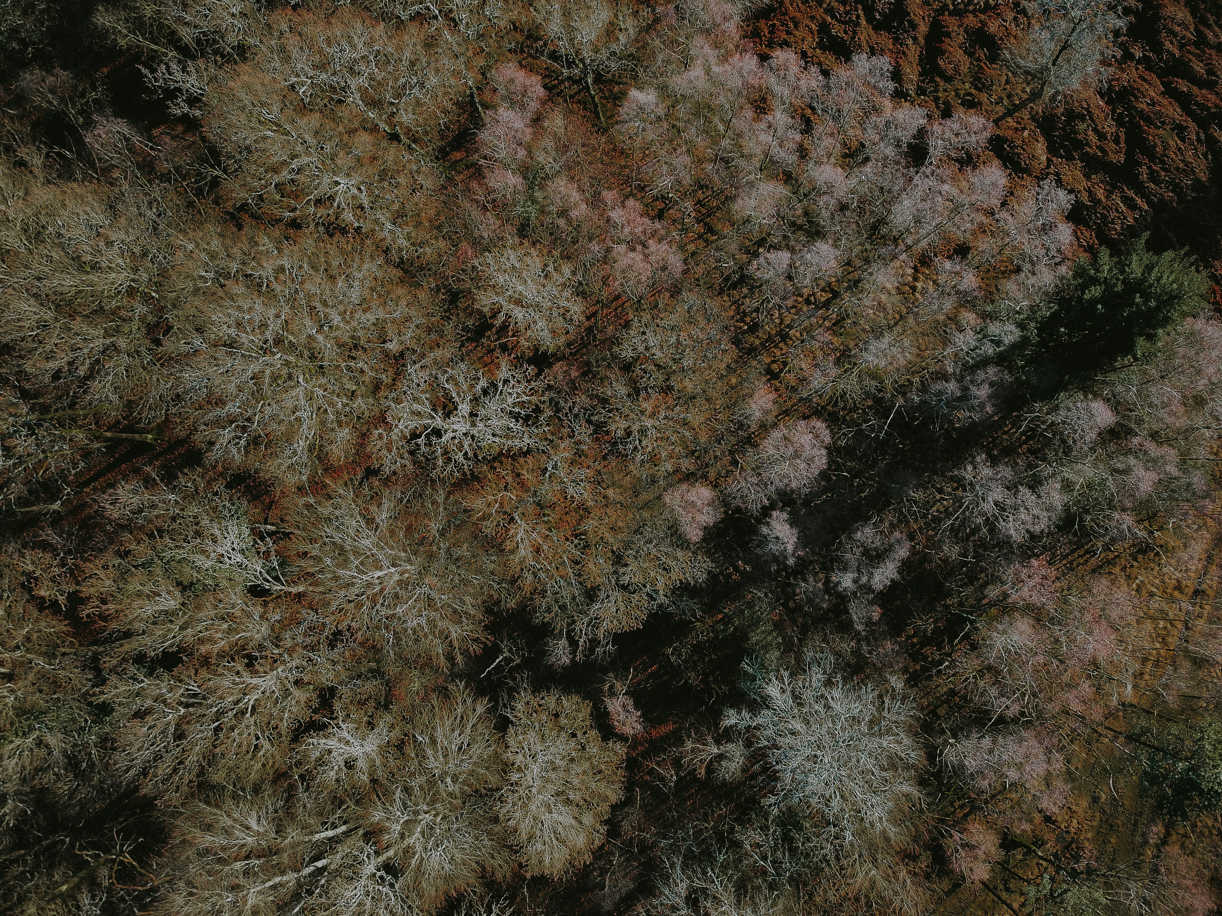 Photo by anniespratt