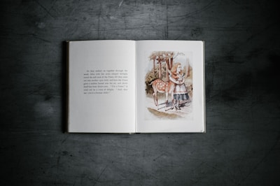 An open book lays on a dark textured surface, displaying a page of text on the left and an illustration on the right. The illustration depicts a girl with long hair wearing a dress and striped stockings standing next to a young deer in a natural setting with trees. The colors are muted and earthy.