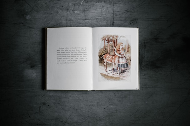 An open book lays on a dark textured surface, displaying a page of text on the left and an illustration on the right. The illustration depicts a girl with long hair wearing a dress and striped stockings standing next to a young deer in a natural setting with trees. The colors are muted and earthy.