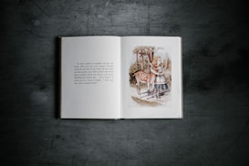 An open book lays on a dark textured surface, displaying a page of text on the left and an illustration on the right. The illustration depicts a girl with long hair wearing a dress and striped stockings standing next to a young deer in a natural setting with trees. The colors are muted and earthy.