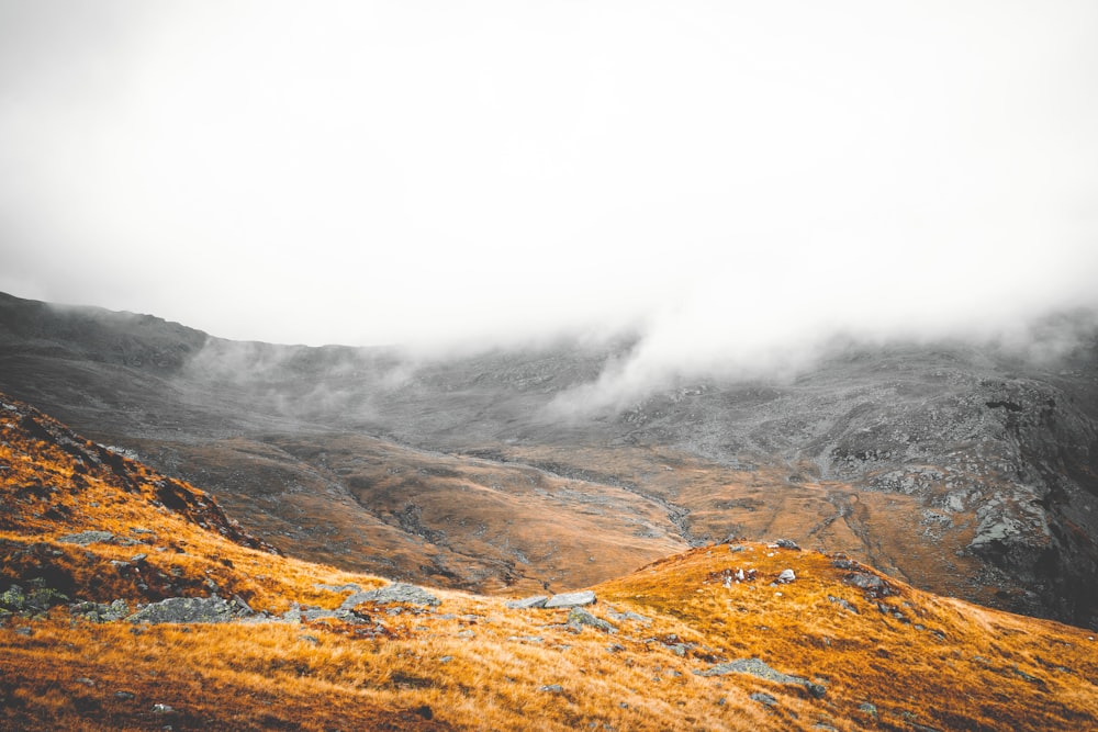 mountain covered with fog during daytime