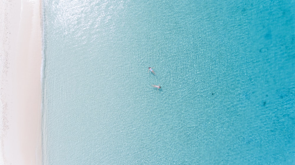 海岸の航空写真