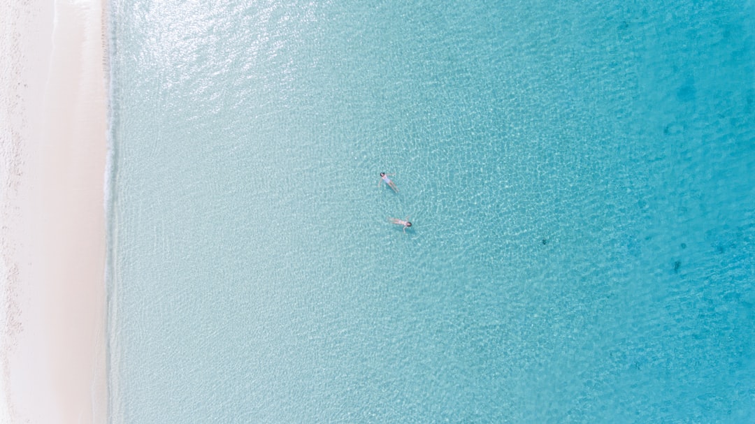 aerial photography of seashore