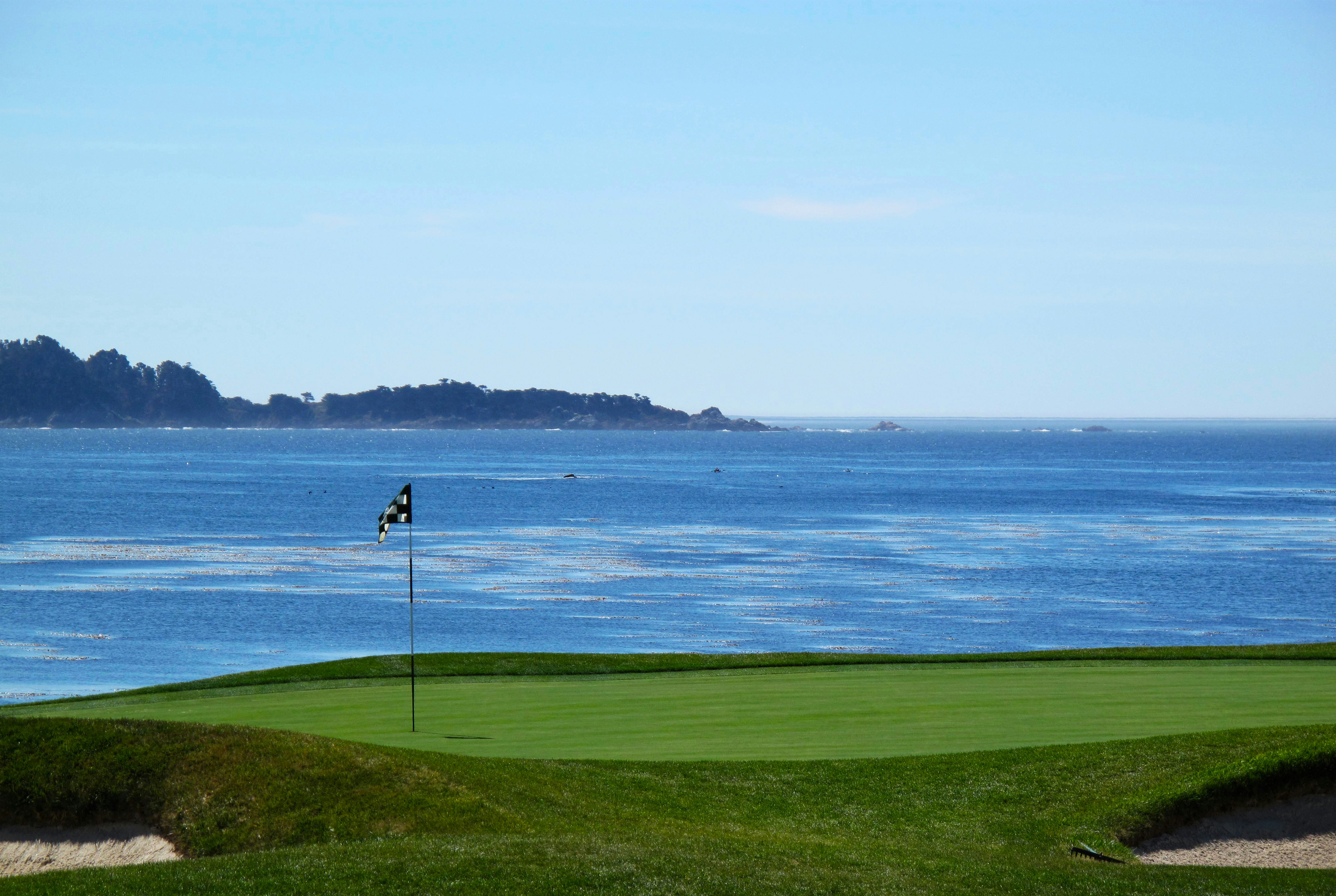 What Golf Clubs Do I Need As A Beginner