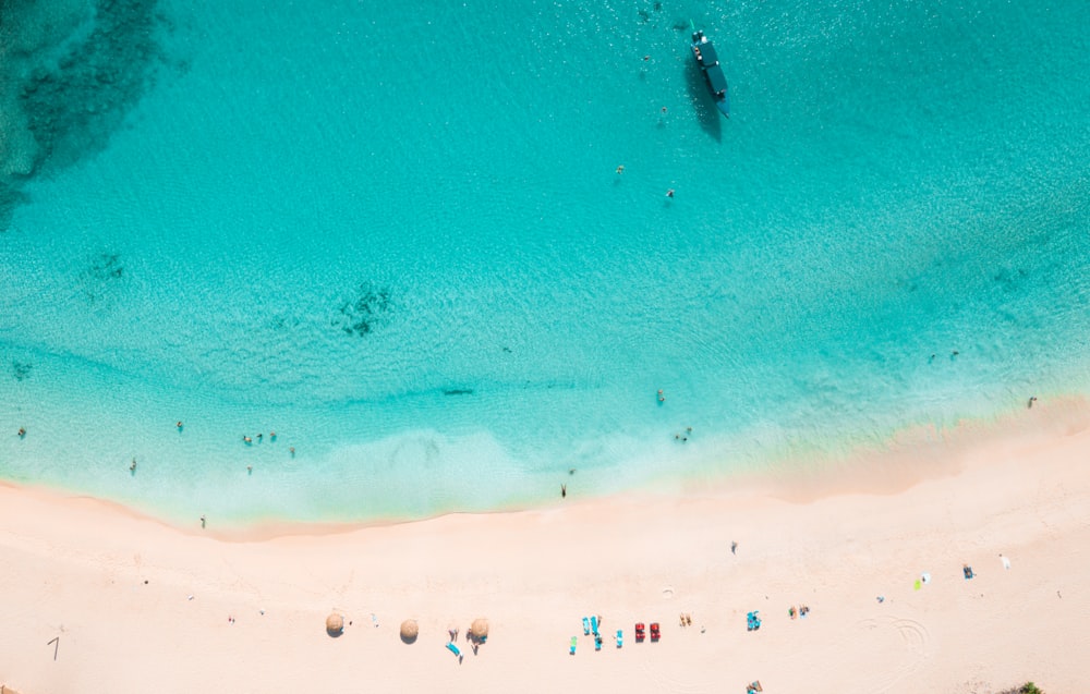 bird's eye view of sea shore