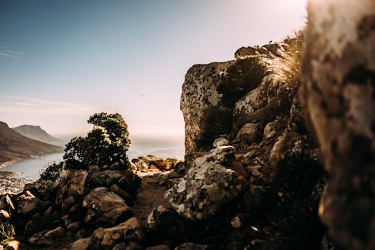 rock formation during day time in Lion's Head South Africa