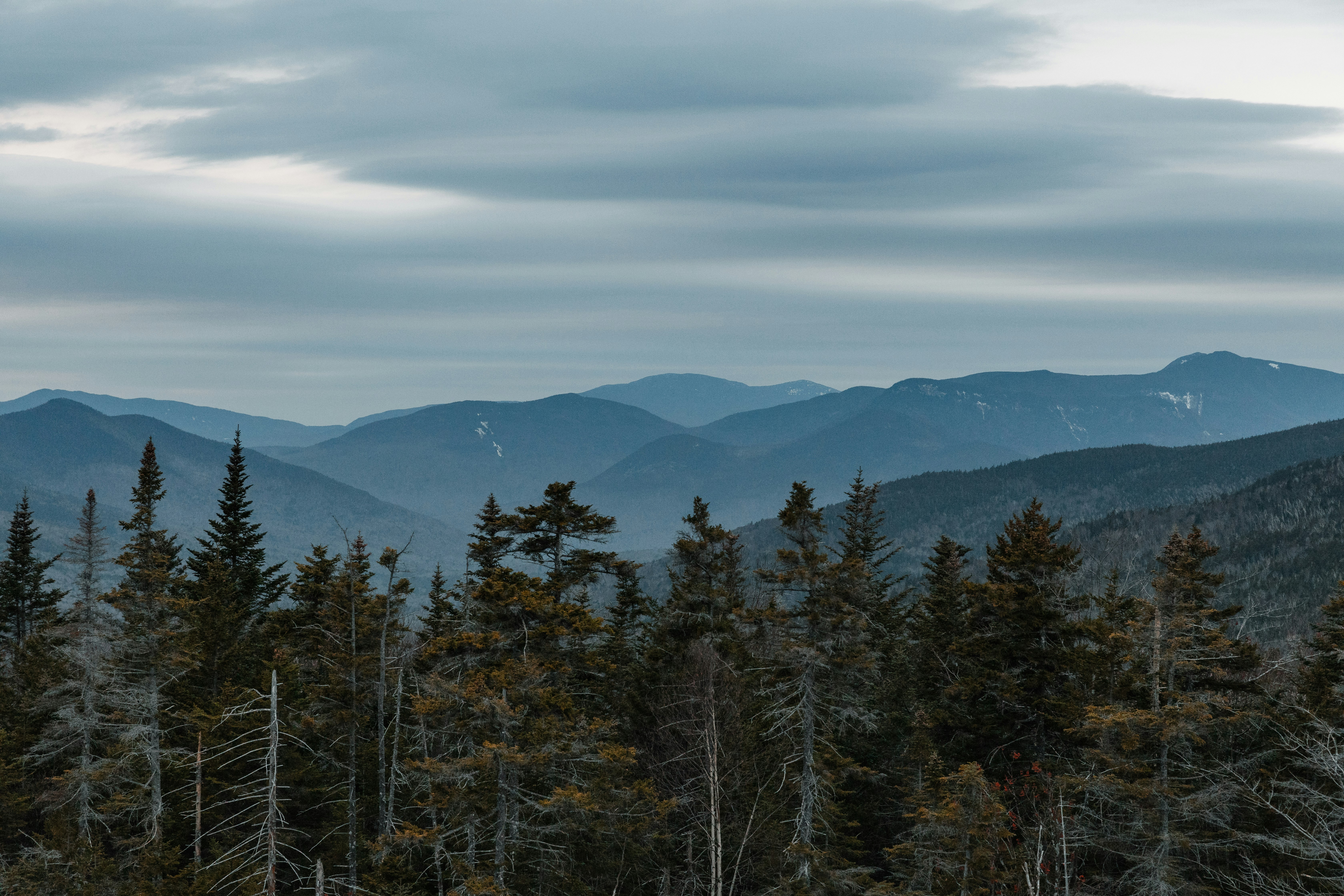 green trees near cloudy sky