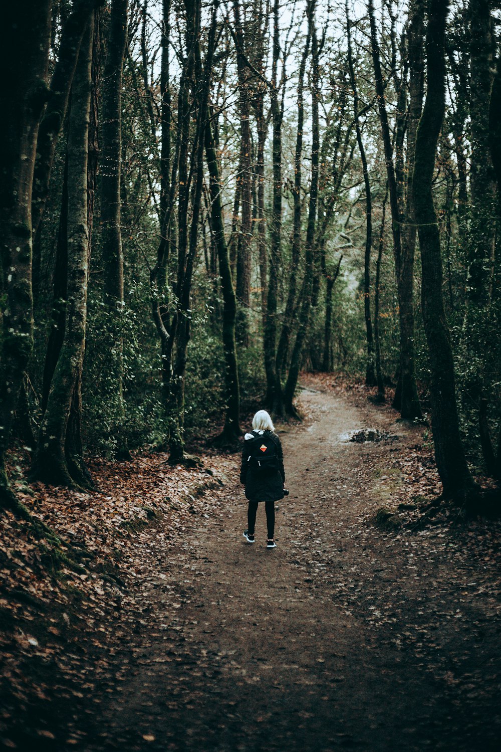 Person, die tagsüber im Wald steht