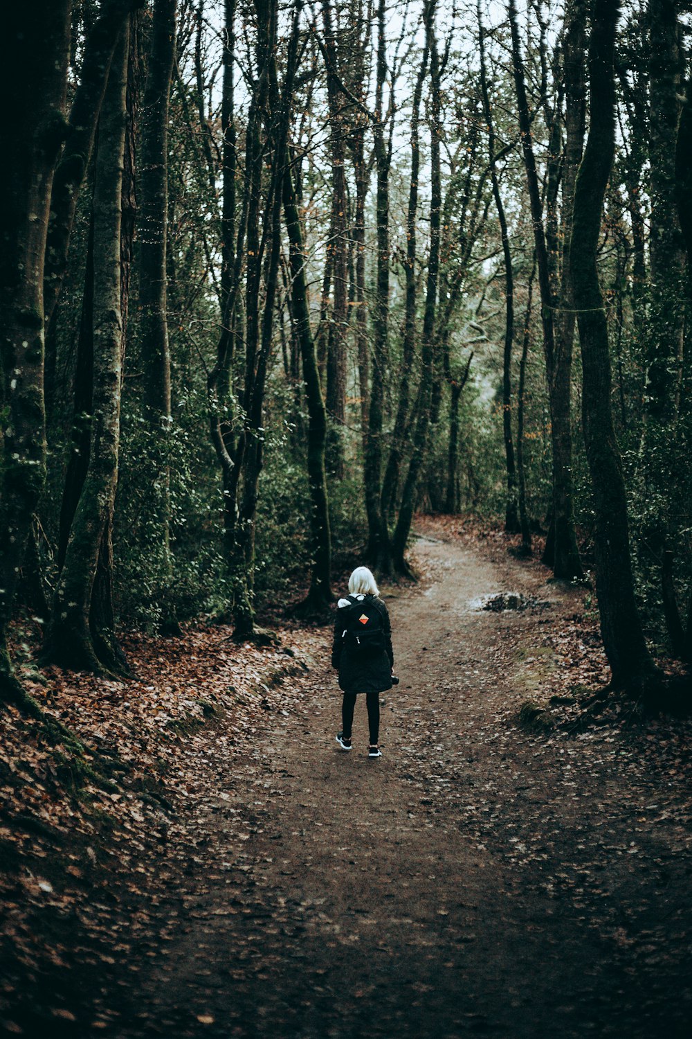 person standing in forest during daytime