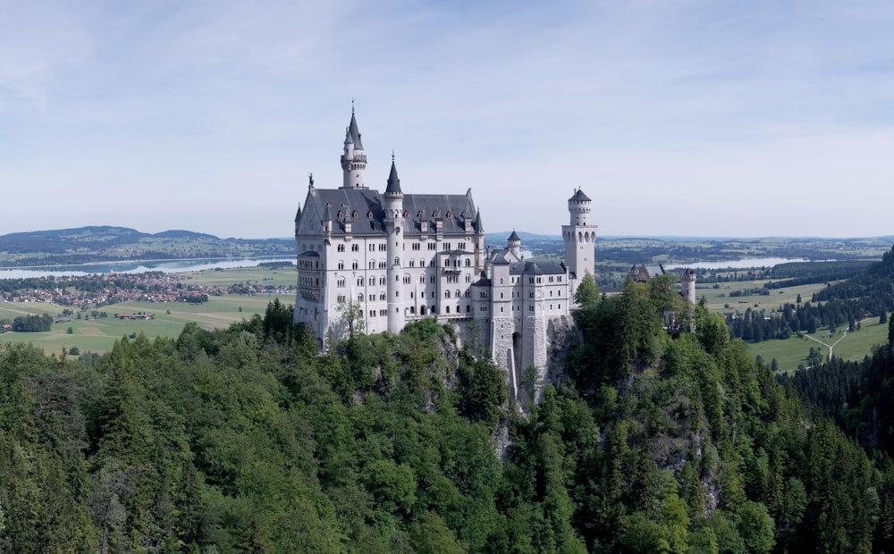 Fotografia aerea del castello bianco e nero