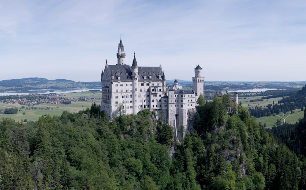 aerial photography of white and black castle