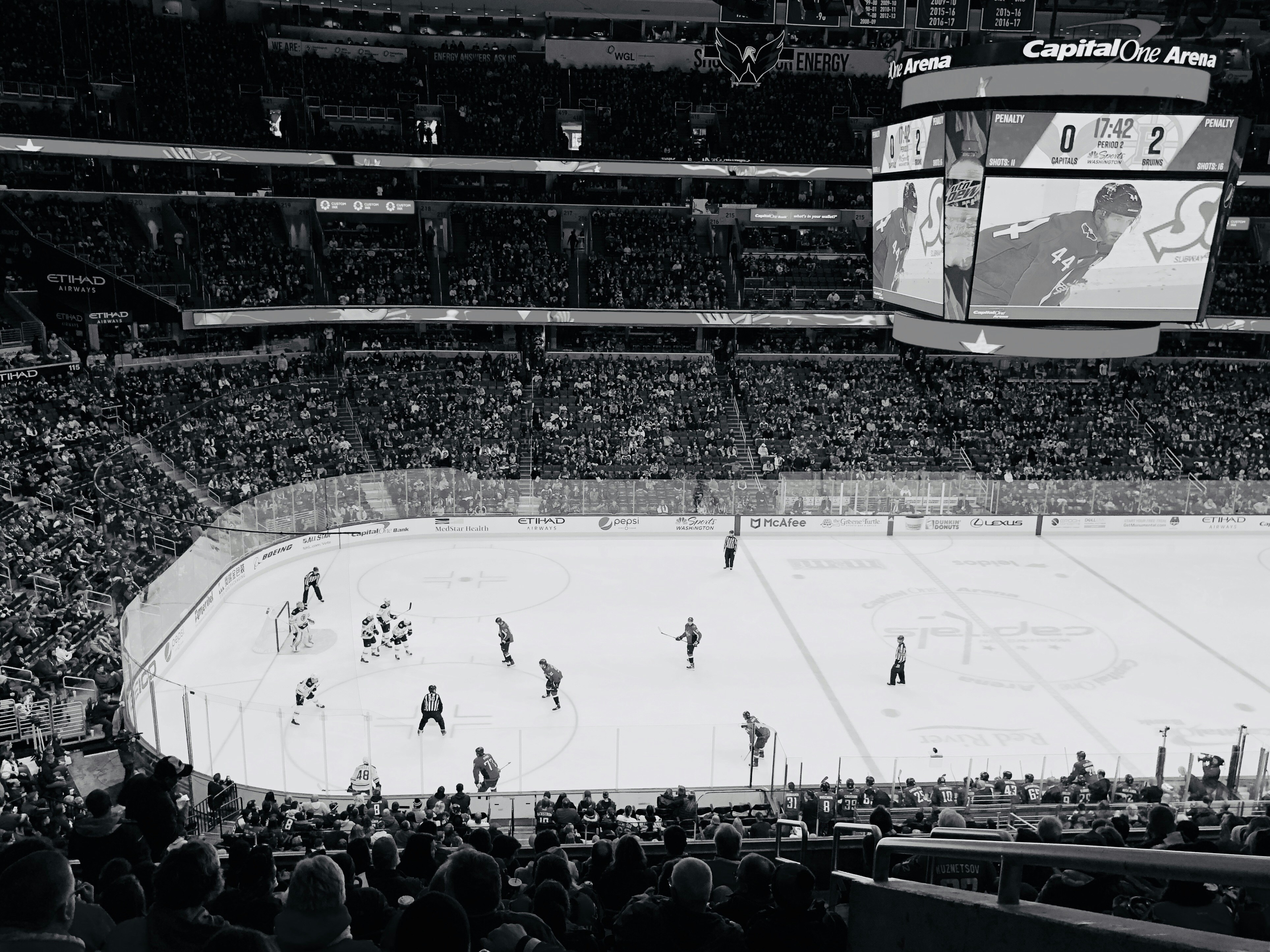 ice hockey arena stadium crowd cheering