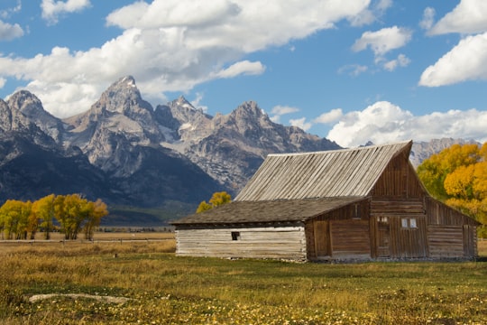 brown wooden house between trees at daytime in Grand Teton National Park United States