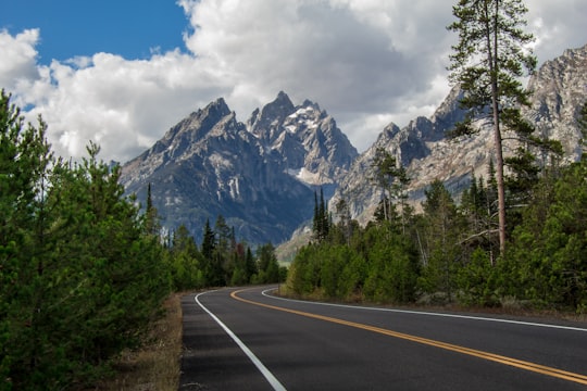empty asphalt road between tress in Grand Teton National Park United States