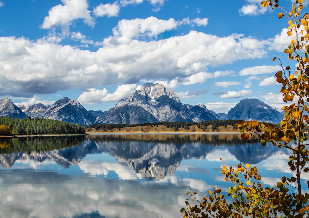 body of water beside tree near mountain