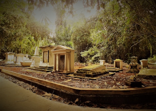 A serene cemetery scene with several ornate tombstones and monuments surrounded by dense, lush greenery. Some of the graves are covered in fallen leaves, adding to the peaceful and slightly neglected atmosphere. Sunlight filters through the trees, casting dappled shadows and creating a calm, almost mystical ambiance.