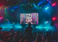 group of people attending to concert