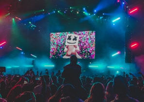 group of people attending to concert