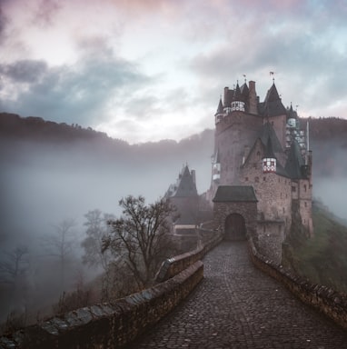 closeup photo of castle with mist