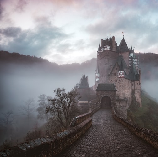 closeup photo of castle with mist