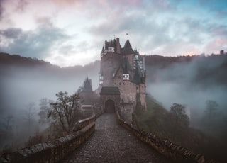 closeup photo of castle with mist