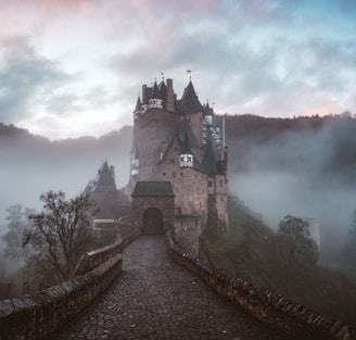 closeup photo of castle with mist