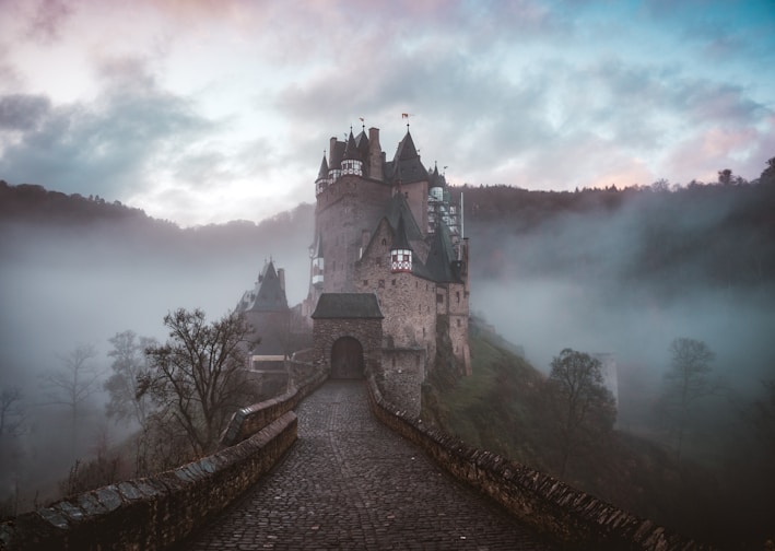 closeup photo of castle with mist