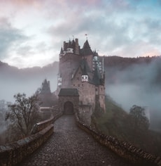 closeup photo of castle with mist