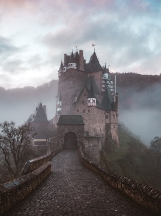 closeup photo of castle with mist
