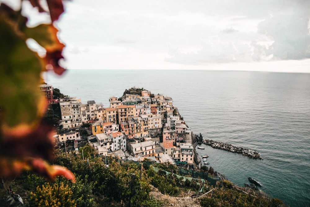 photographie aérienne de Manarola, Italie