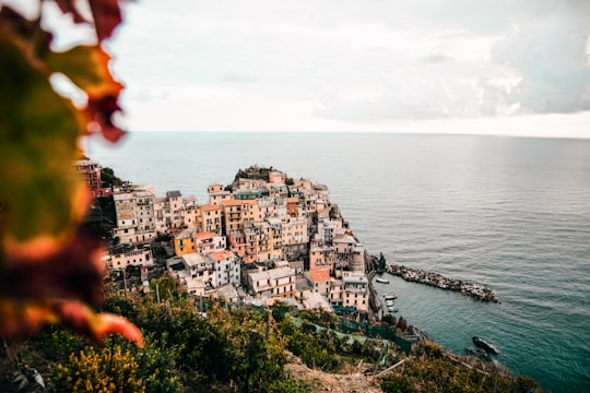 aerial photography of Manarola, Italy in Parco Nazionale delle Cinque Terre Italy