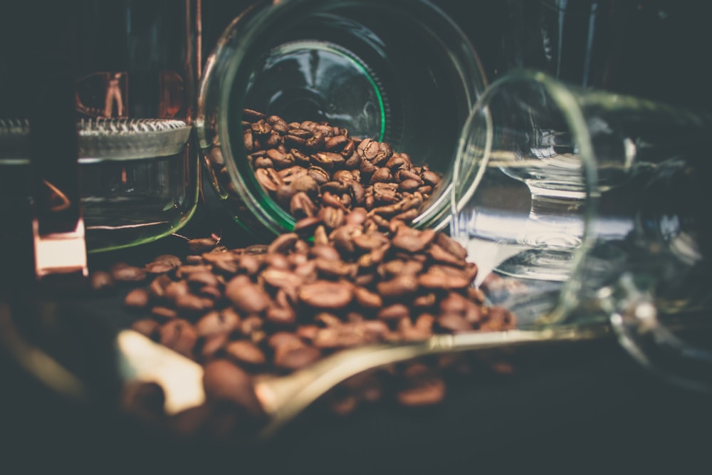 coffee beans near clear glass cup