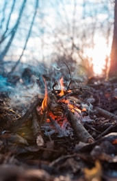 time lapse photography of bonfire