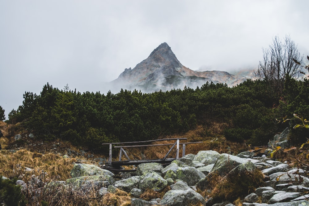 fog-covered mountain during cloudy day