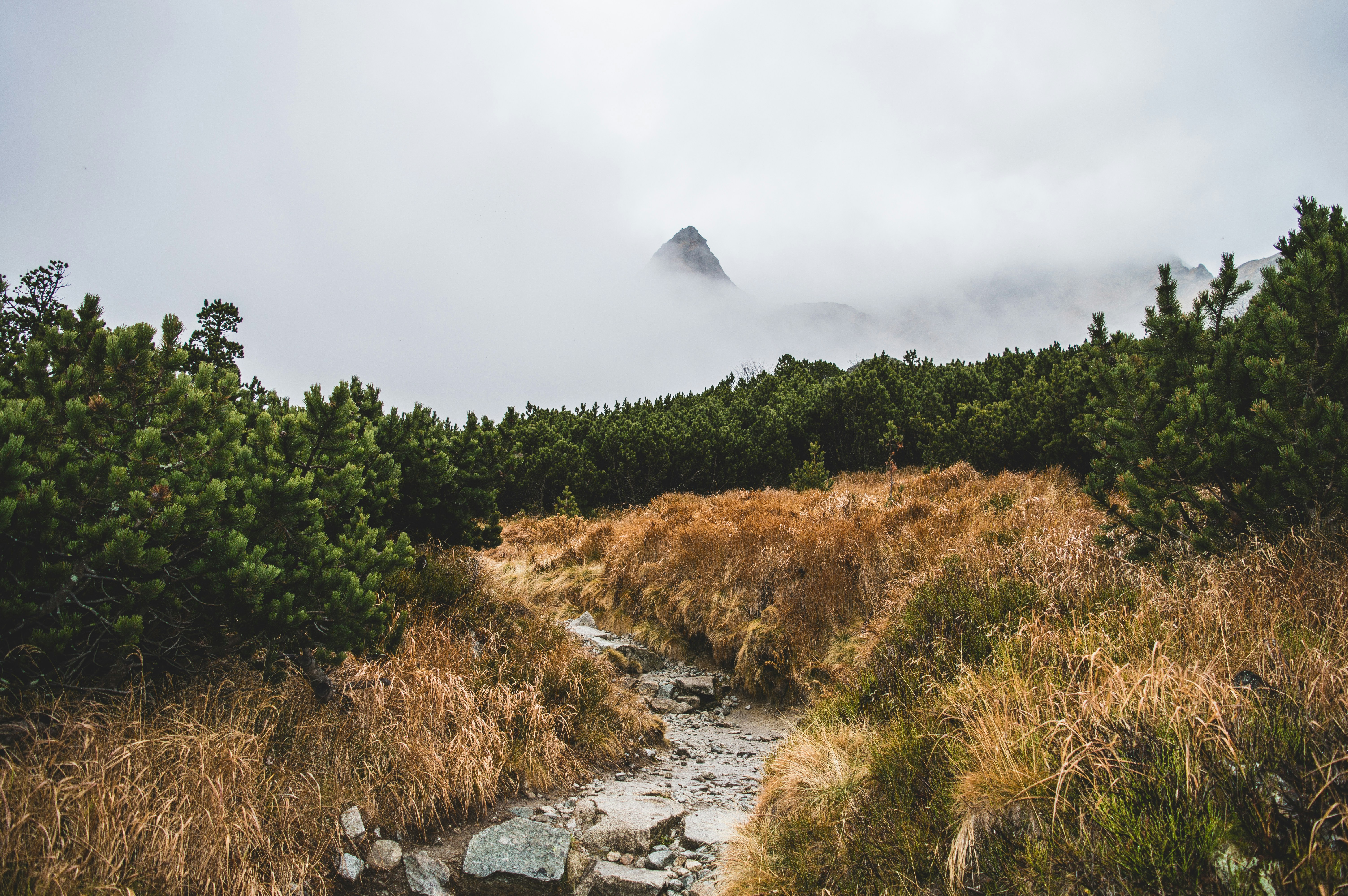 Photo by balintkulcsar