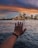 A hand is extended towards the Sydney Opera House across a body of water, with a city skyline in the background under a dramatic, colorful sky at dusk.