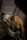 A close-up of a dog's head in profile, focusing on its eye and ear. The lighting is dim, highlighting the dog's facial features with a soft, dramatic effect. The background is blurred, emphasizing the dog's attentive expression.