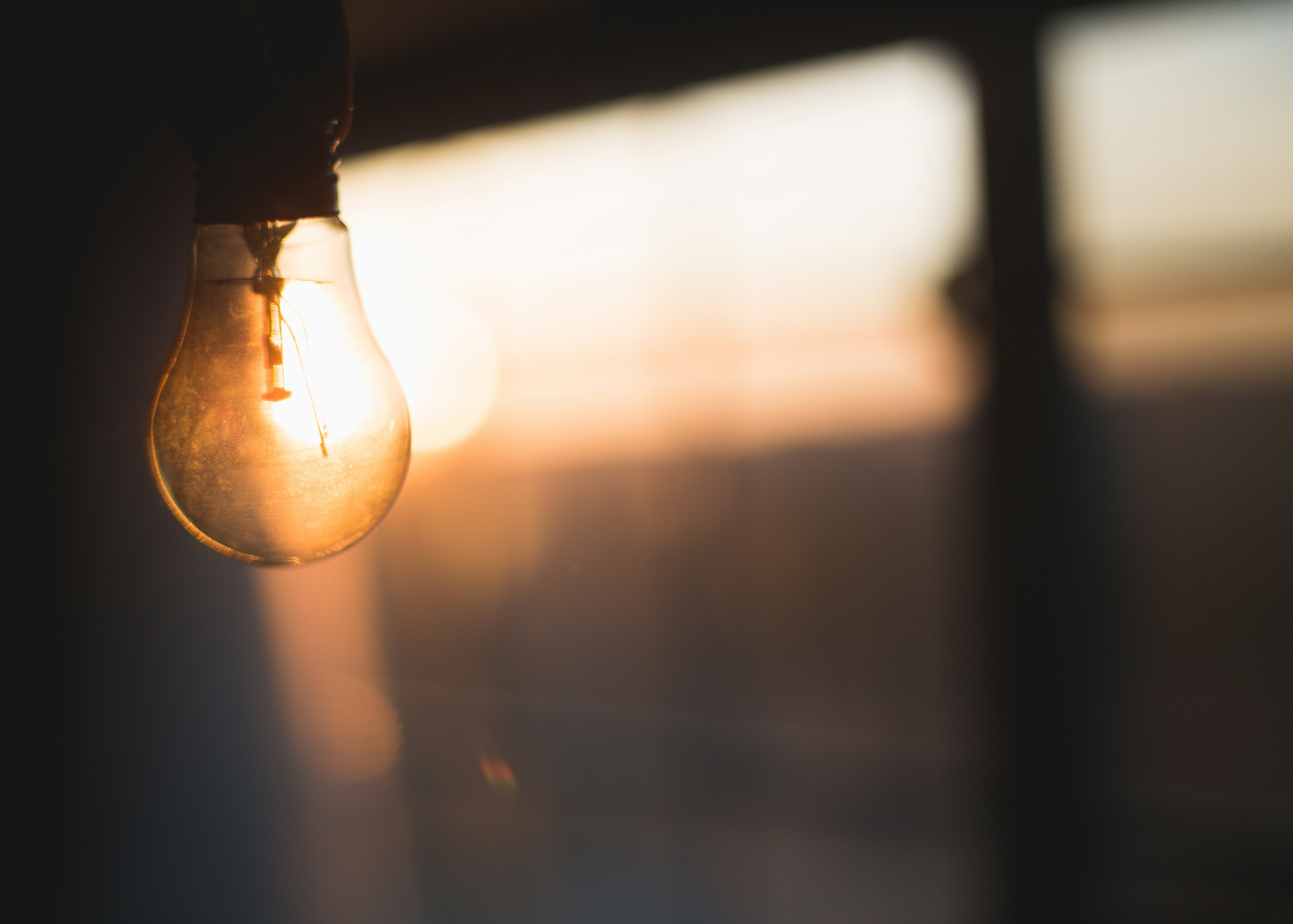 shallow focus photography of light bulb