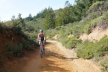 A cyclist riding a bike along a scenic coastal trail lined with lush greenery.